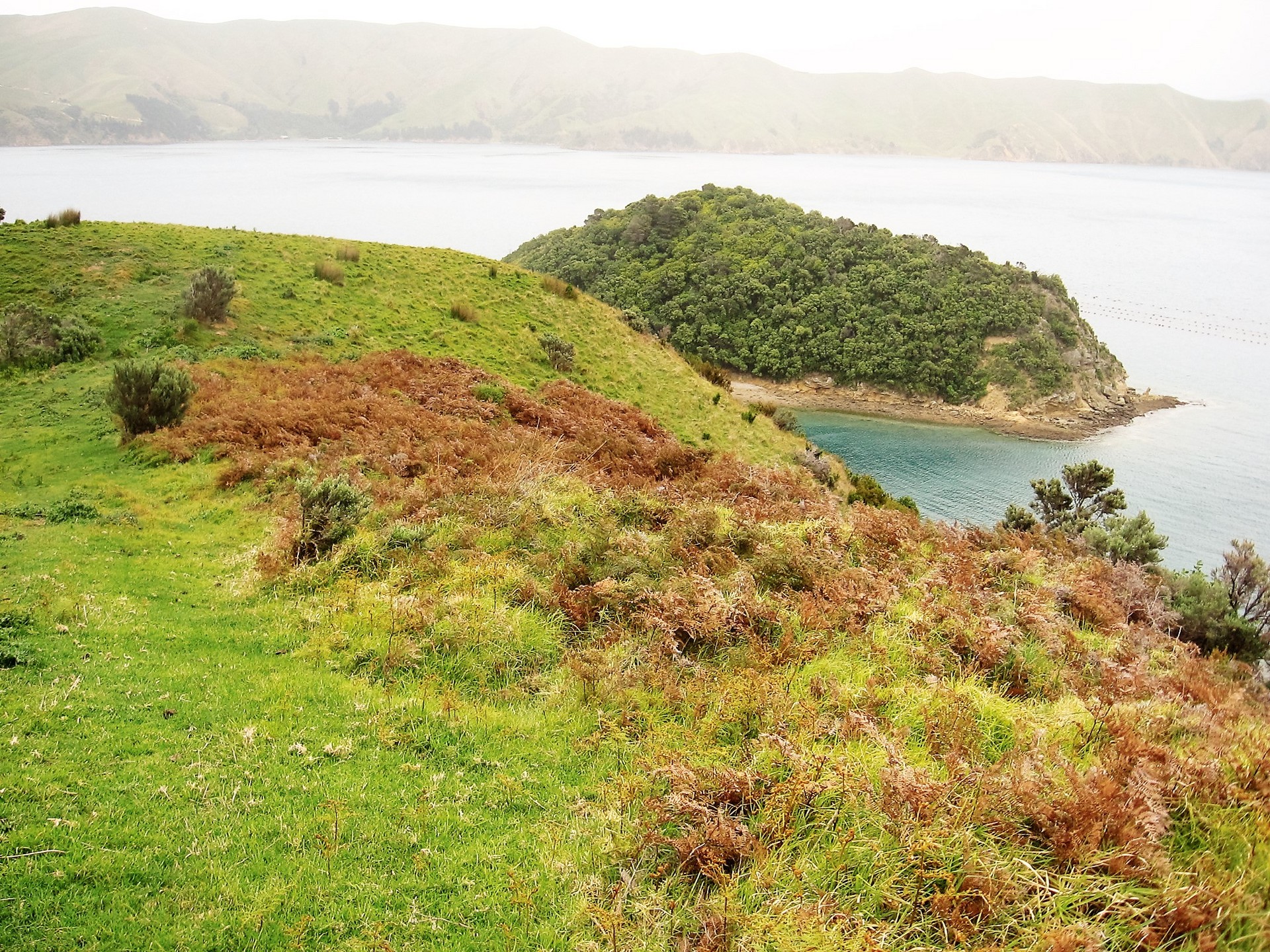 Island Bay, Marlborough Sounds > RE/MAX Elite
