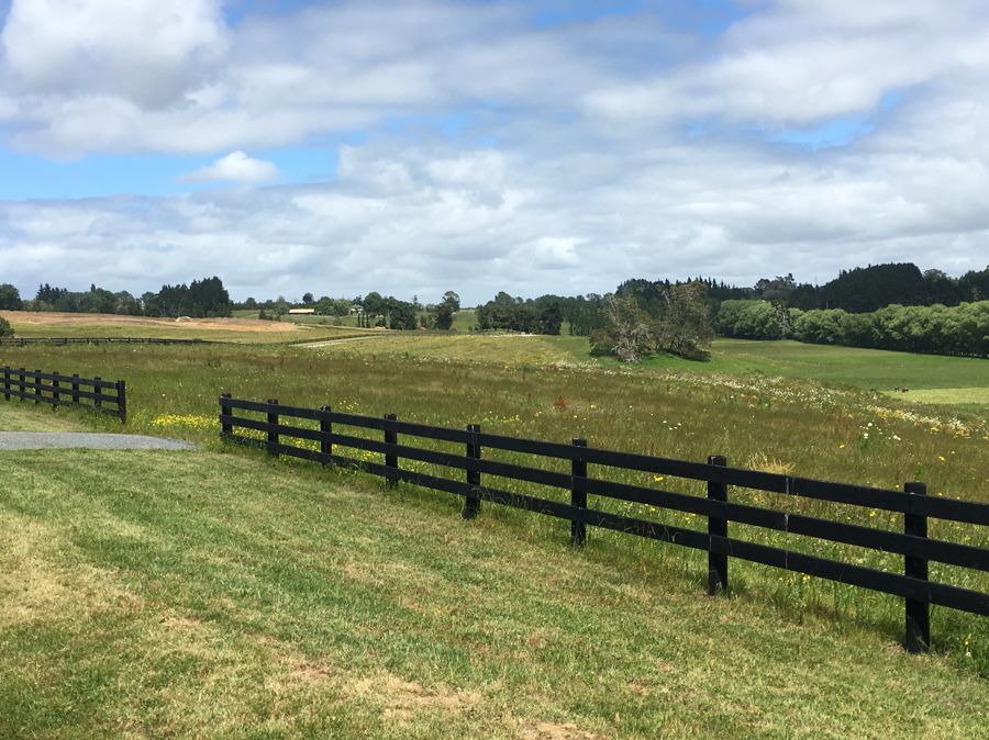 Property For Sale in Te Kauwhata