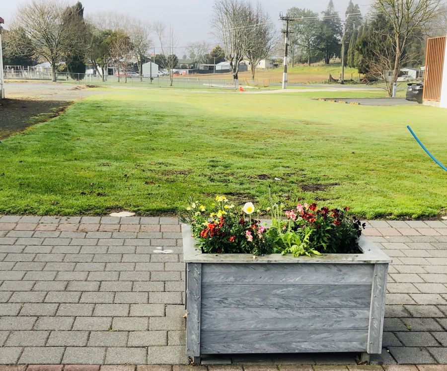 Property For Sale in Te Kauwhata